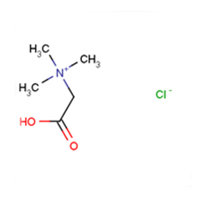 有機フィードグレードcas 590 46 5ベタイン塩酸塩99 有機ベタイン塩酸塩cas 590 46 5 Betaine塩酸塩 フィードグレード 塩酸塩cas 590 46 5 Betaine塩酸塩 Cas 590 46 5 Betaine塩酸塩製品zouping Sanhao Chemical Co Ltd